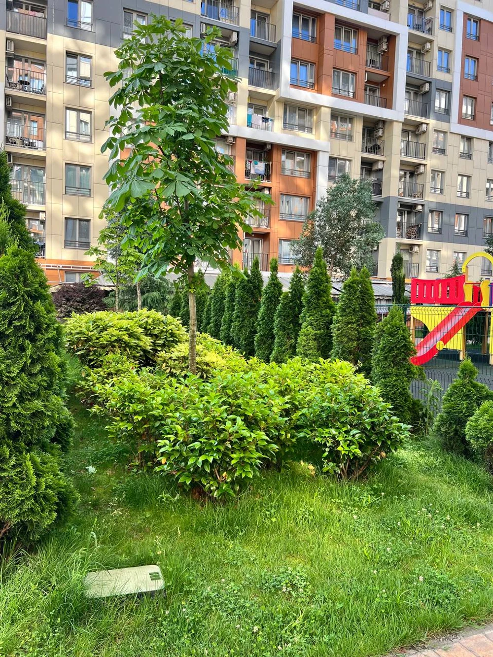 78aac7c5-15be-40e6-a5c4-cfb2a5ee68af-photo_8_2025-06-08_08-17-45.jpg
